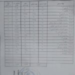 کارنامه ریحانه علی‌پور