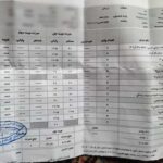 کارنامه عاطفه اردکانی